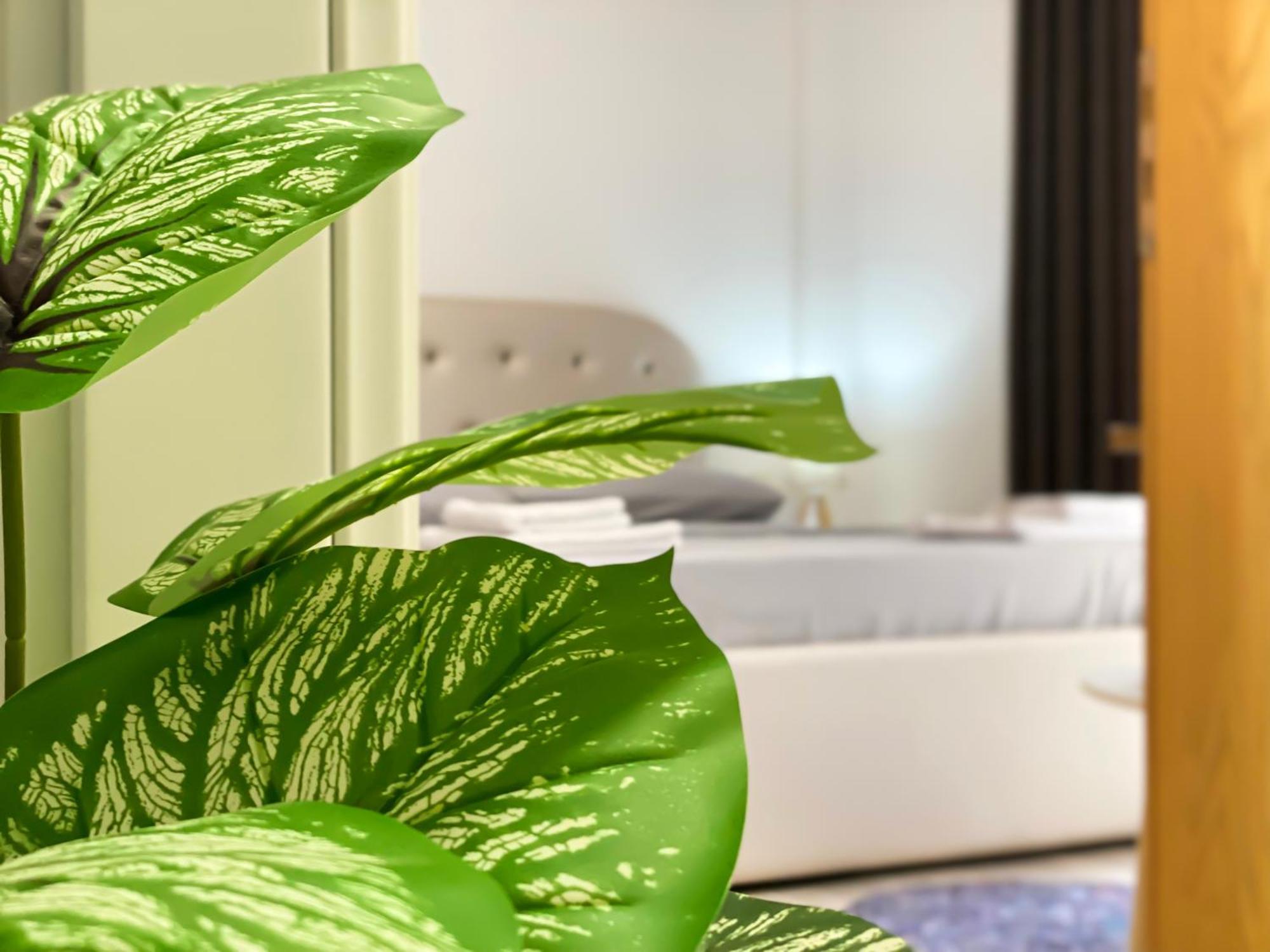 Northgate Apart-Villa Shkoder Ngoại thất bức ảnh